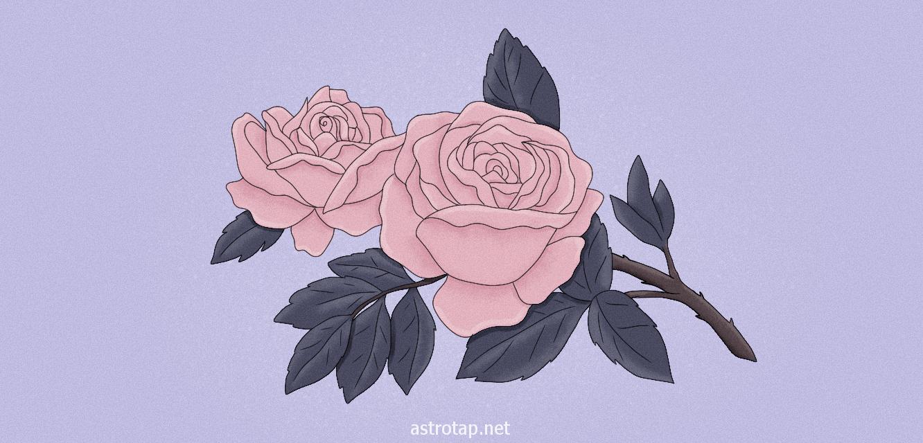 Droom van rozen: betekenis en betekenis