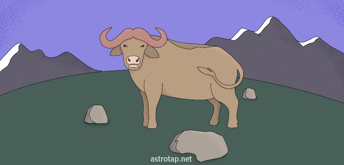 Von einem Stier träumen – Bedeutung und Interpretation